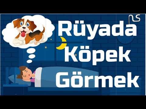 Rüyada Köpek Görmek: Anlamı ve Yorumları