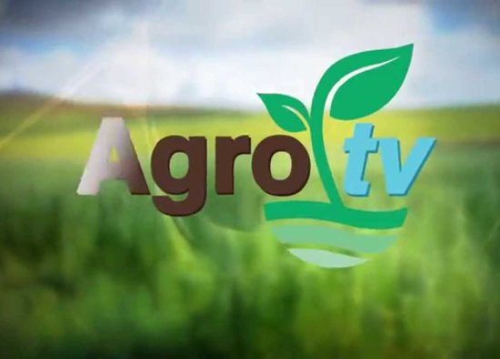 Agro Tv Canlı izle