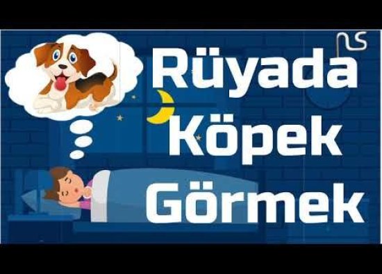 Rüyada Köpek Görmek: Anlamı ve Yorumları