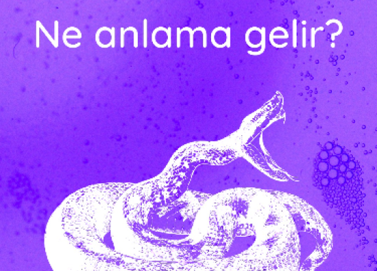 Rüyada Yılan Görmek Ne Anlama Gelir?