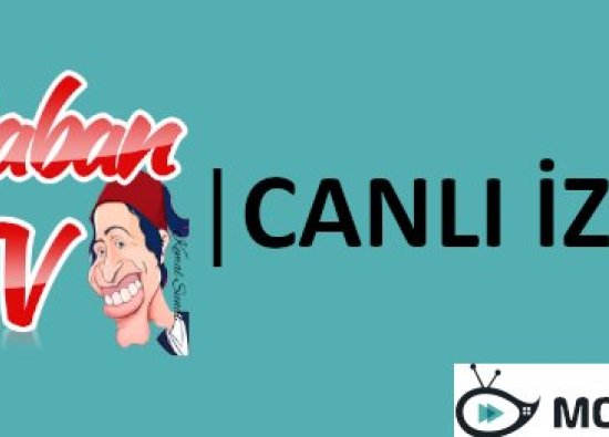 Şaban TV Canlı izle