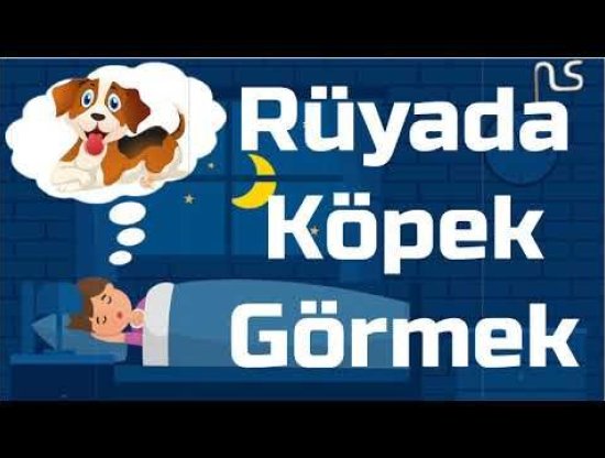 Rüyada Köpek Görmek: Anlamı ve Yorumları