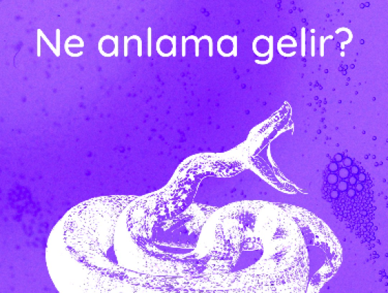 Rüyada Yılan Görmek Ne Anlama Gelir?